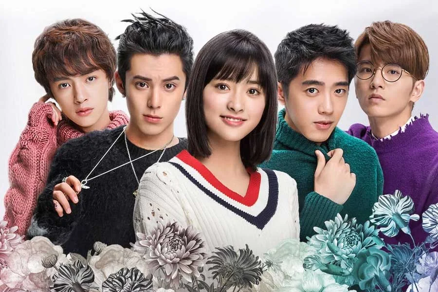 Motivos para NÃO assistir Meteor Garden