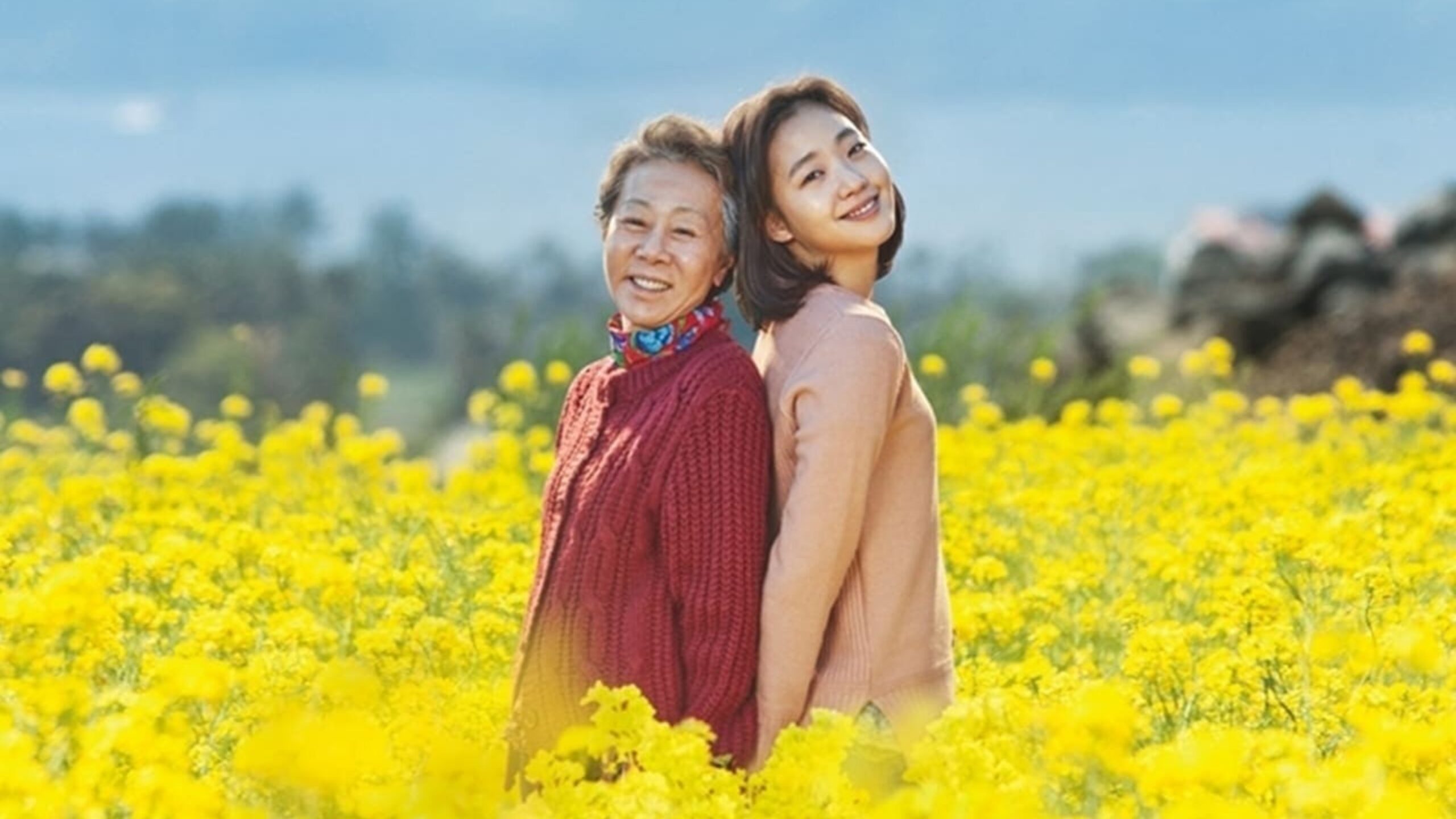 Canola: 5 motivos para assistir
