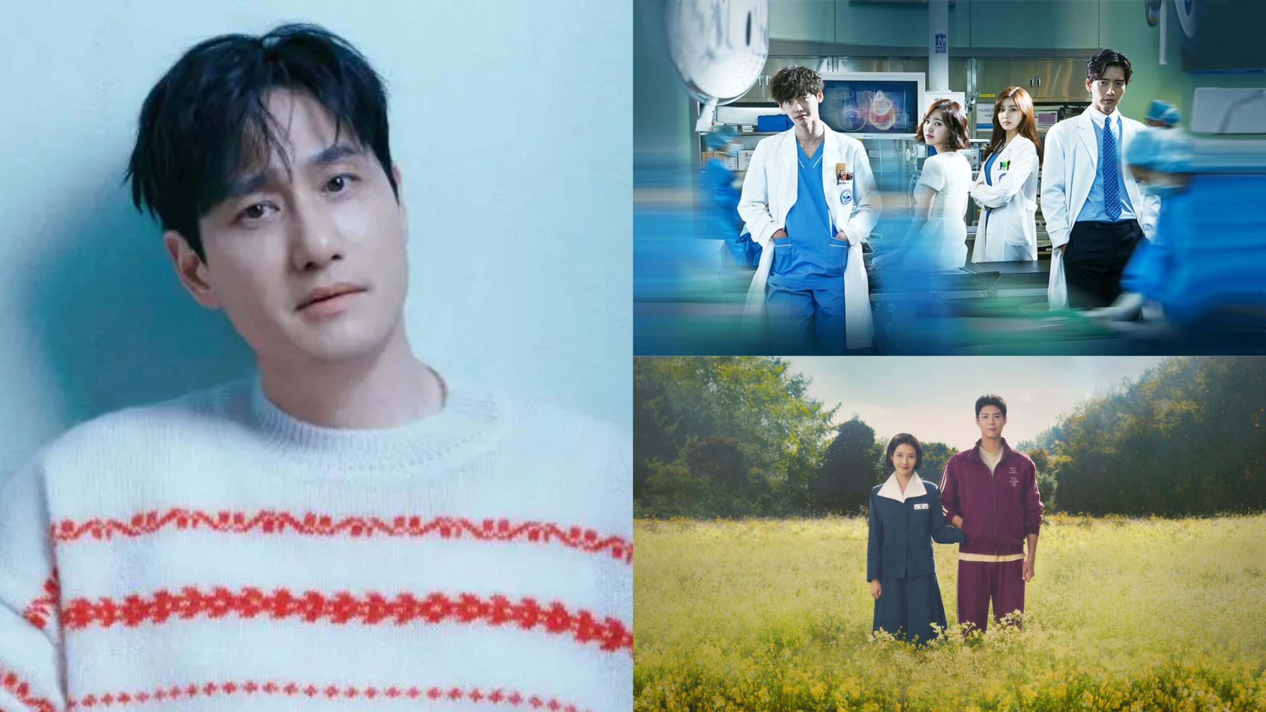 K-dramas para conhecer a atuação de Park Hae Joon antes de “Confidence Queen”