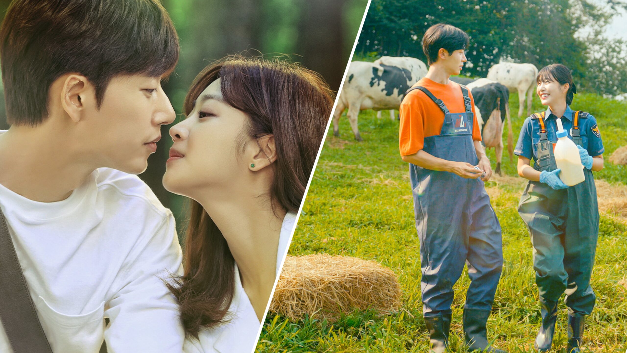 Melhores k-dramas sobre a vida no campo
