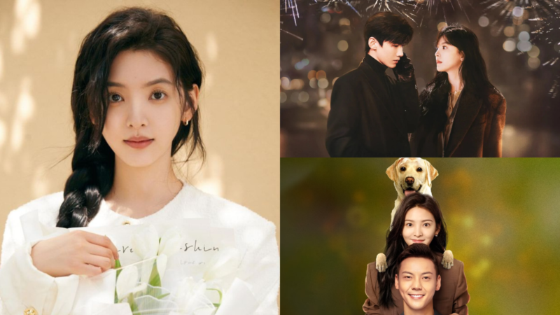 4 C-dramas para conhecer a atuação de Zhang Ruo Nan