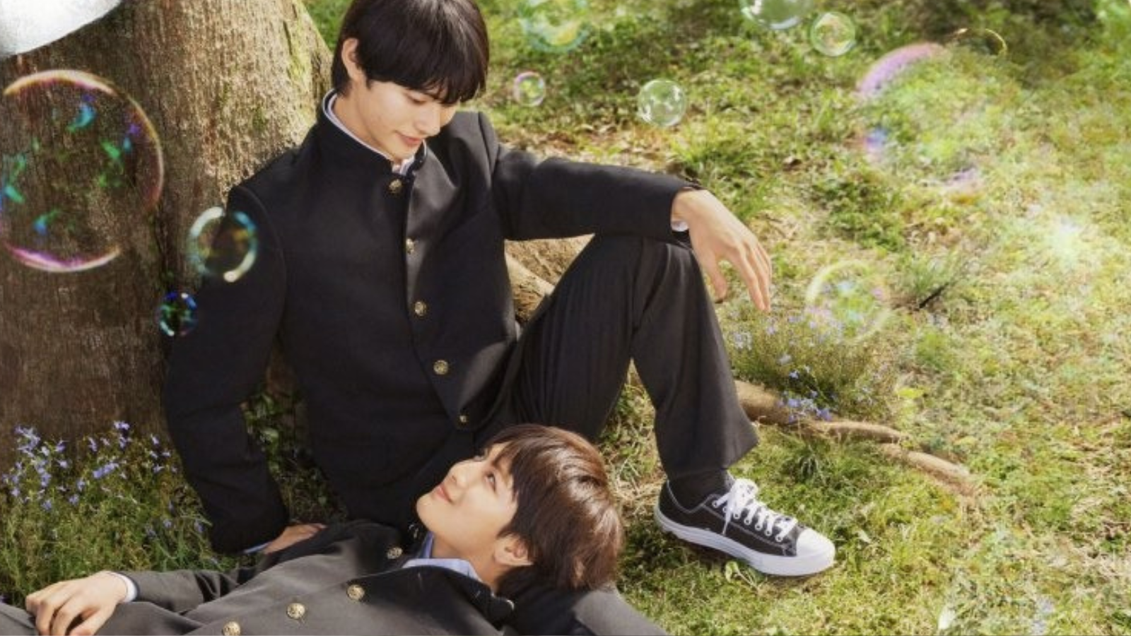 I Cannot Reach You: 5 motivos para assistir