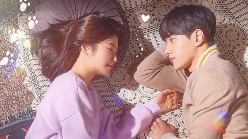 Meow, the Secret Boy: Vale a pena dar uma chance para esse romance felino?