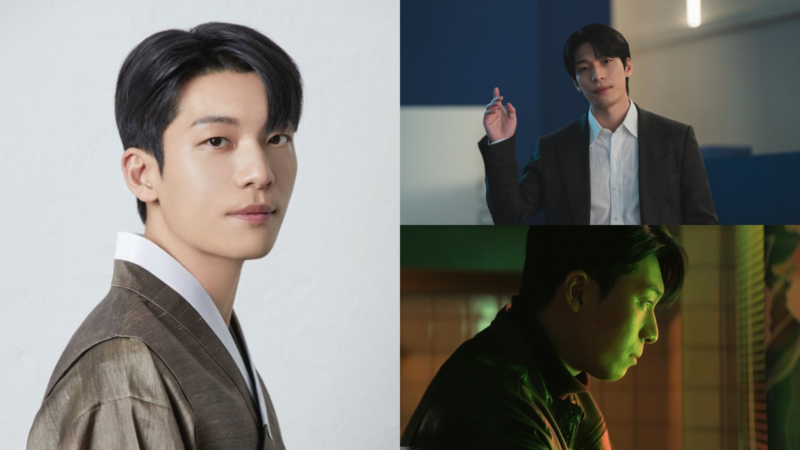 5 K-dramas para conhecer Wi Ha Joon 