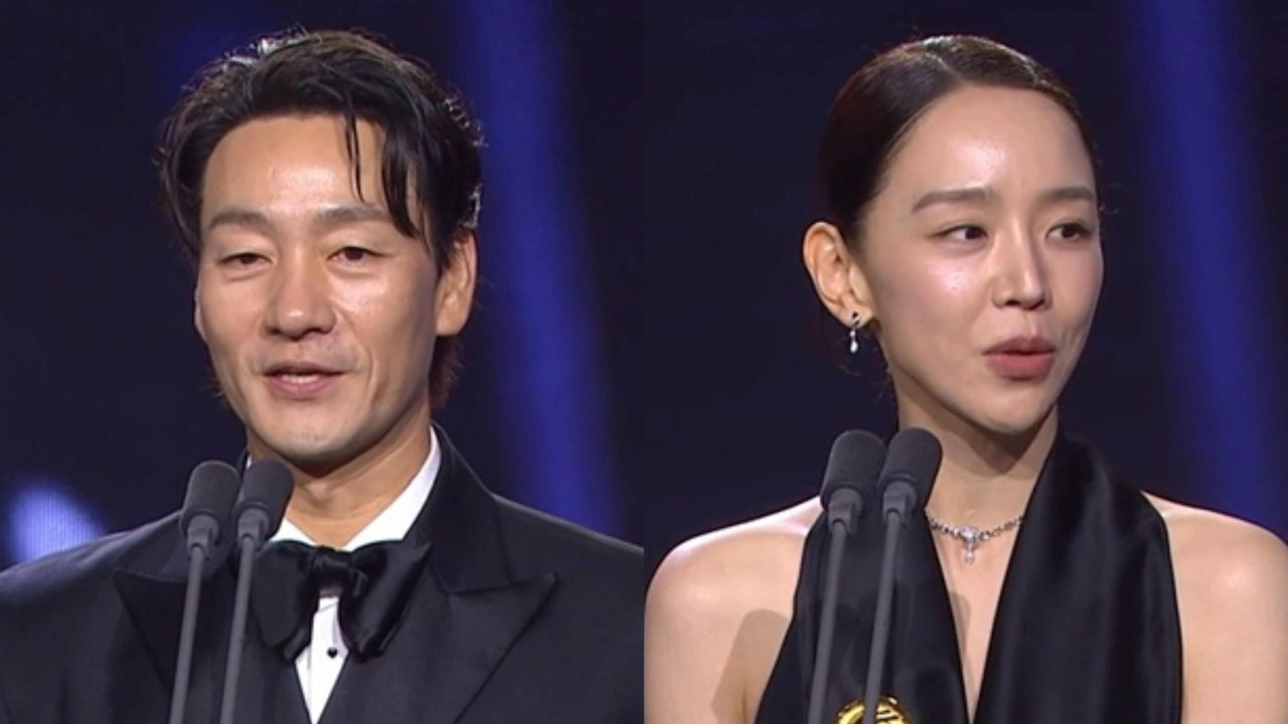Park Hae Soo e Shin Hye Sun vencem o prêmio de Melhor Ator no Blue Dragon Series Awards