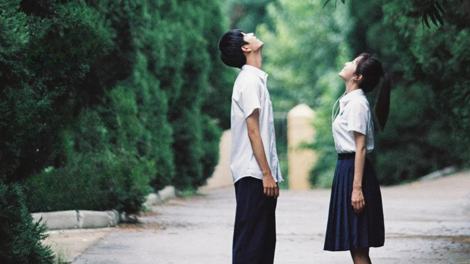 The Rainbow in Our Memory: 5 motivos para assistir